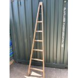 Vintage Orchard Ladder