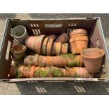 Crate of Terracotta Plant Pots