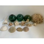 3x Green Glass Balls, Shells and Coral