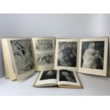 Art Books - Rubens, Raphael, Botticelli, Da Vinci and Donatello