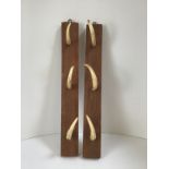 Pair of Mounted Antler Displays/Hooks