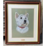 Framed Pastel Drawing of White Haired Terrier