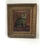 Gilt Framed Oil on Canvas - Tabby Cat
