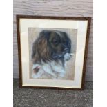 Framed Picture - Canine