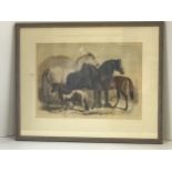 Framed Picture - Meeting of the Royal Agricultural Society at Manchester - Prize Horses