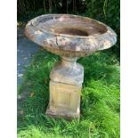 Concrete Garden Bird Bath on Plinth