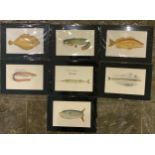 7x Jonathan Couch Fish Prints 1862 with Matching Mounts