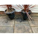 Pair of Metal Plant Stands and Contents