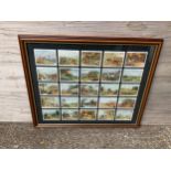 Framed Cigarette Cards