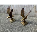 Pair of Brass Eagles