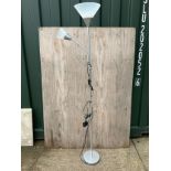 Modern Floor Lamp