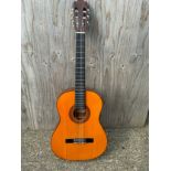 Acoustic Guitar