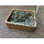 Sink Planter