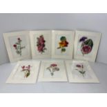 7x F E Holme Botanical Prints 1880, Matching Mounts