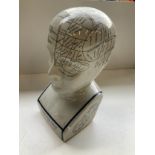 Phrenology Head - 30cm H