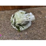 Frog Water Feature
