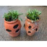 2x Strawberry Planters