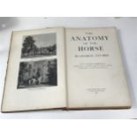 Book - The Anatomy of the Horse - By George Stubbs - 1938