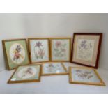 7x Framed Flower Pictures