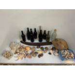 Old Bottles, Coconut in Husk, Tropical Seed Pod and Indian Ocean Shells