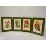 5x Edward Step Botanical Prints 1880 - Matching Mounts