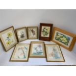 Quantity of Framed Floral Pictures