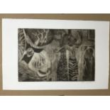 Limited Edition Etching with Aquatint - Abstract Study - Roger Gerster (Swiss) - Pencil Signed -