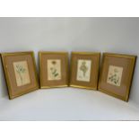 Gilt Framed Pictures