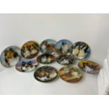 Collector's Plates in Boxes - Shetland Sheepdogs