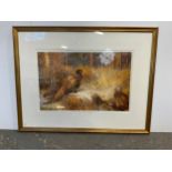 Framed Print - Pheasants