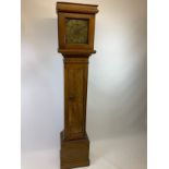 Longcase Clock with Brass Face - 230cm H