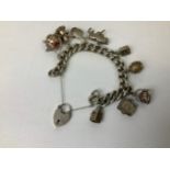 Silver Charm Bracelet