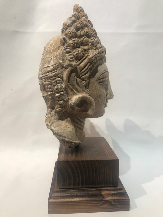 Large 3rd Century Gandhara Stucco Head - Image 4 of 7