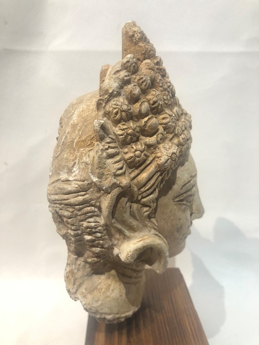 Large 3rd Century Gandhara Stucco Head - Image 6 of 7