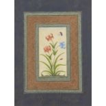 19th/20th Century Indian Framed Floral Tulip Flowers On Water Colour,