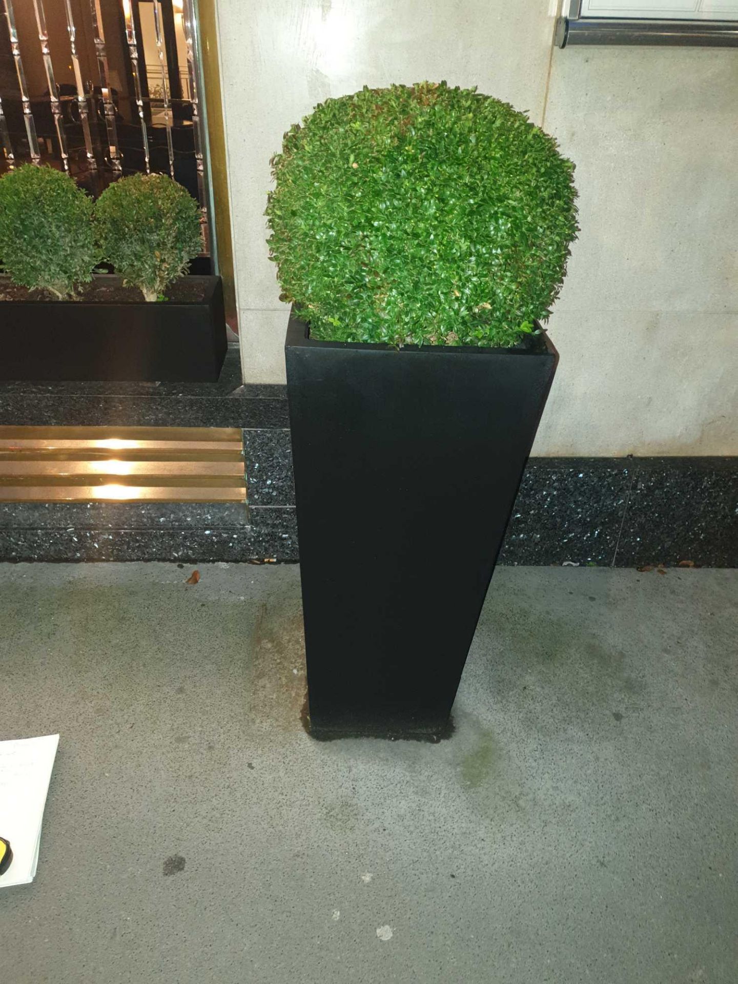 A Pair Of Black Tall Upright Planters Size 40x 40x 90cm ( Loc Front Of Hotel) - Bild 2 aus 3