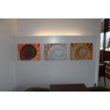3 X Pieces Shell Canvas Artwork 550 X 400mm