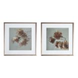 Autumn Floral Framed Art Set Of 2 590 x 35 x 590mm Add Elegance To The Home With The Autumn Floral