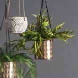 Rocha Hanging Planter Metal Gold Hanging Planter For Those Of Us Not Blessed With Green Fingers,