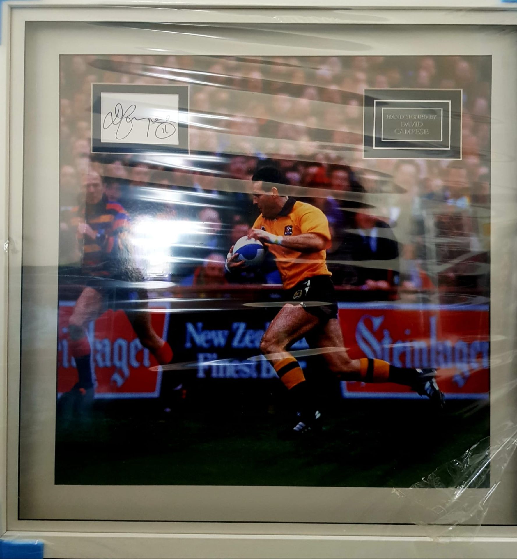 David Campese Signed And Framed Australia Rugby Display Supplied with Certificate Of Authenticity