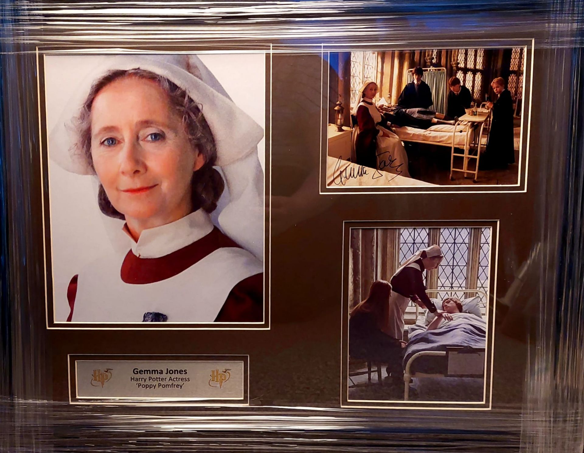 Gemma Jones Signed And Framed Harry Potter Display With Certificate Of Authenticity