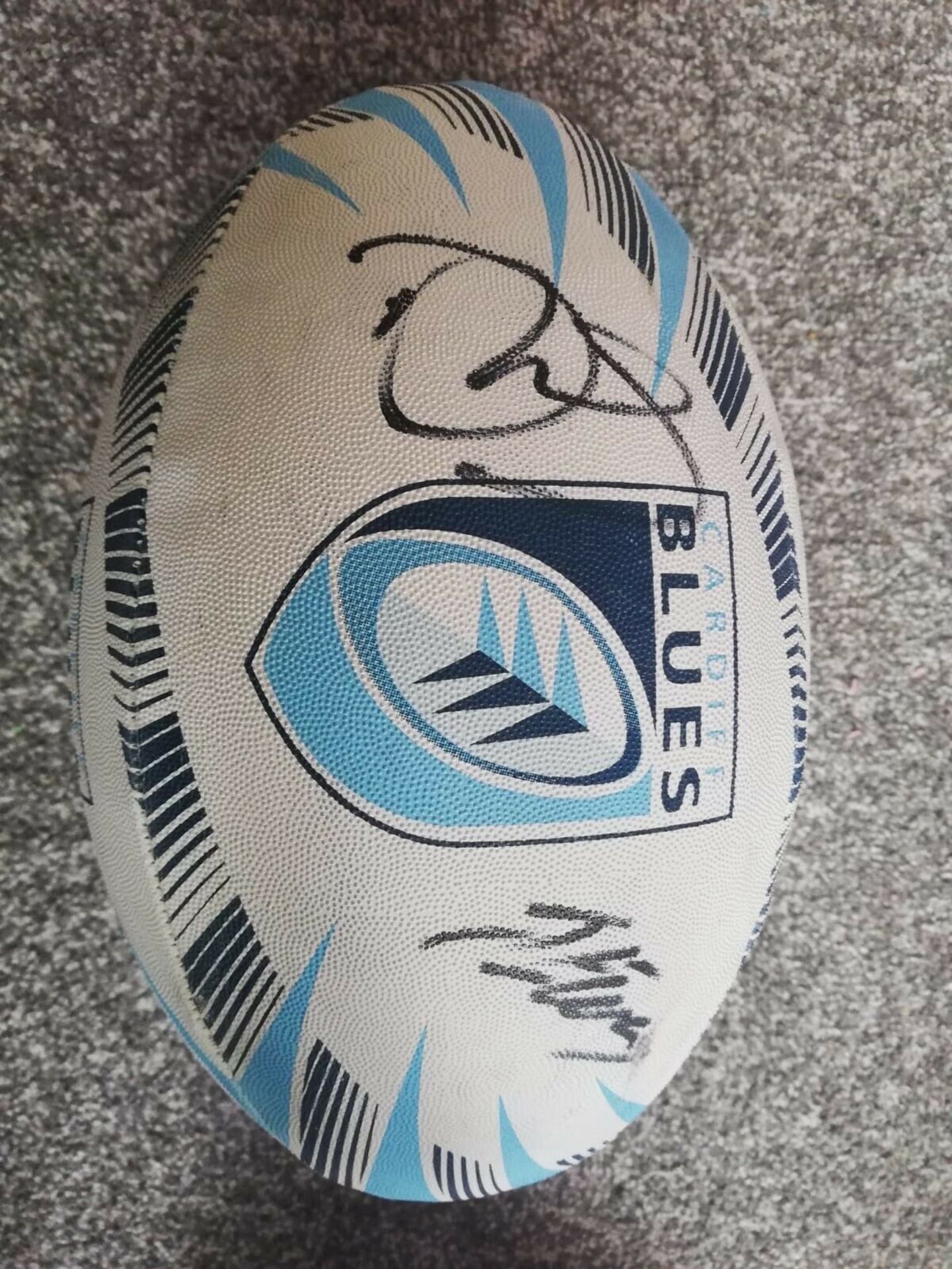 Cardiff Blue Multi Signed Rugby Ball Supplied with Certificate Of Authenticity