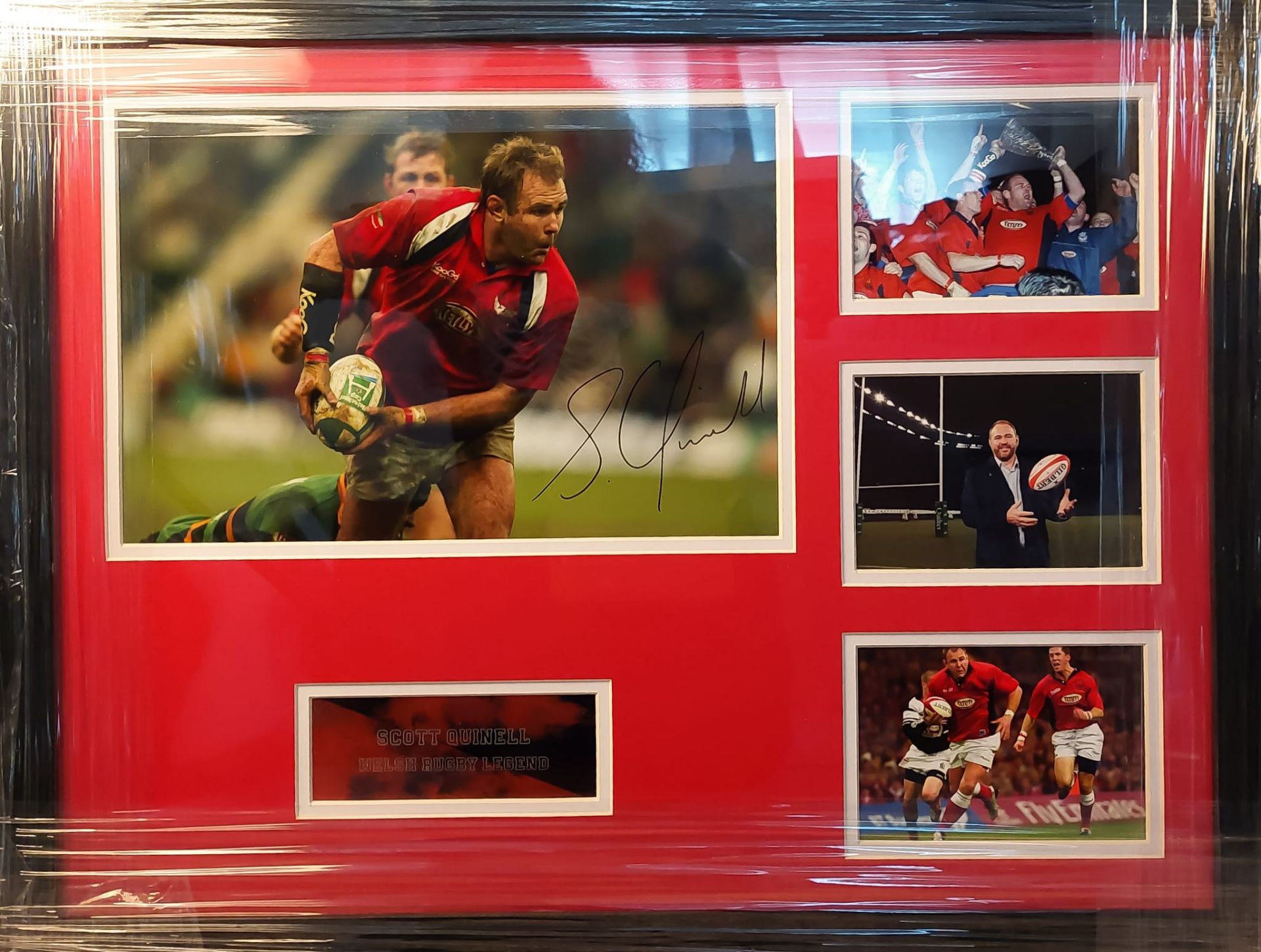 Scott Quinell Signed And Framed Rugby Display
