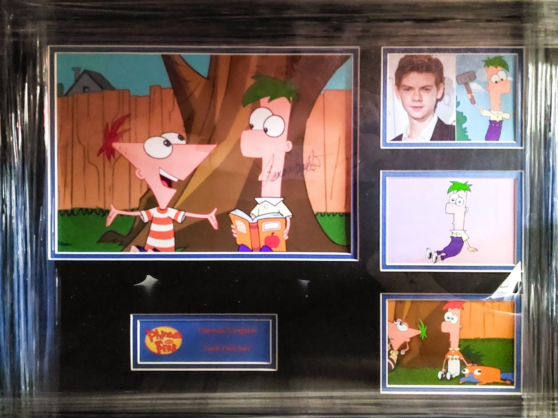 Thomas Sangter Signed And Framed Phineas Ferb Display Supplied with Certificate Of Authenticity