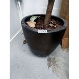 Ceramic bronzed planter 56 x 56 x 50cm