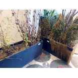 2 x black composite metal planters 120 x 40 x 50cm