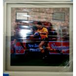 David Campese Signed And Framed Australia Rugby Display Complete With Certificate Of Authenticity