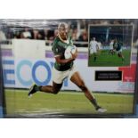 Makazole Mapimpi Signed And Framed South Africa World Cup 2019 Display Complete With Certificate