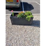 A Pair Of Black Planters 1000mm x 450mm x 450mm