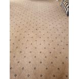 Beige With Blue Pattern Carpet 8m X 5m